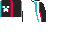 Follower's cape